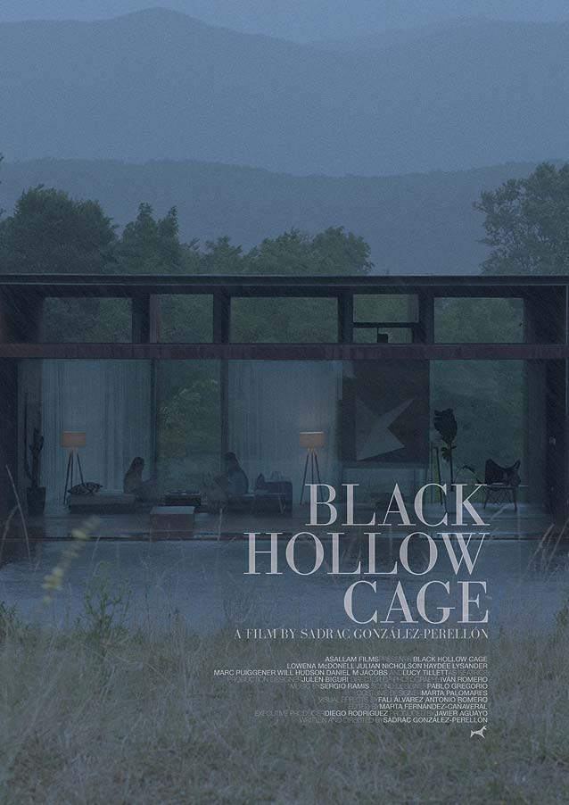 Poster for Black Hollow Cage
