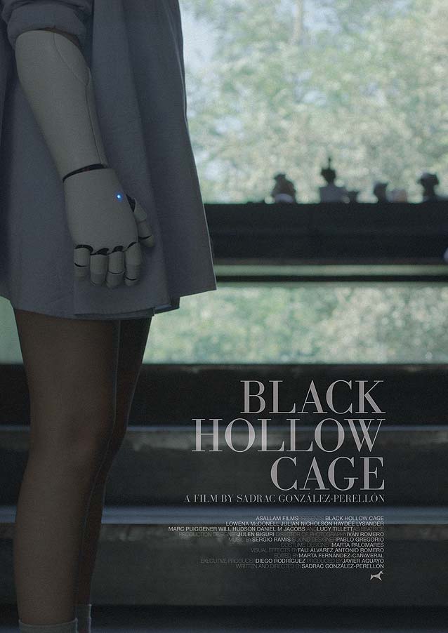 Poster for Black Hollow Cage